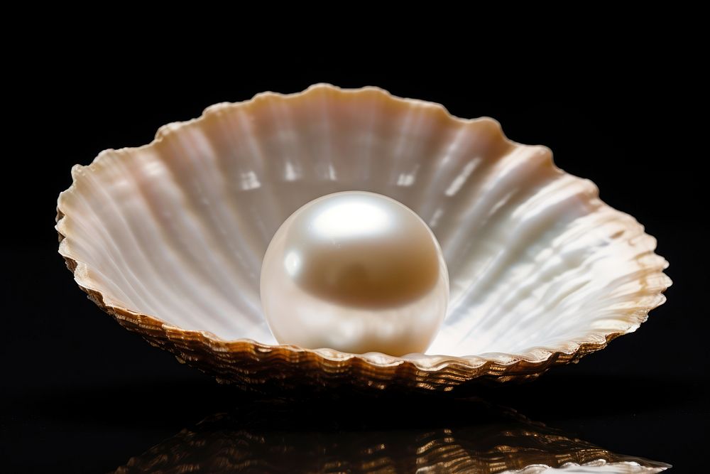 Pearl jewelry shell invertebrate. AI | Premium Photo - rawpixel