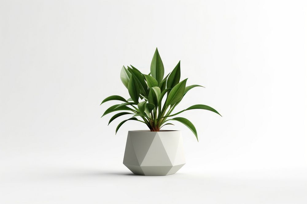 House plant vase leaf white background. AI generated Image by rawpixel.