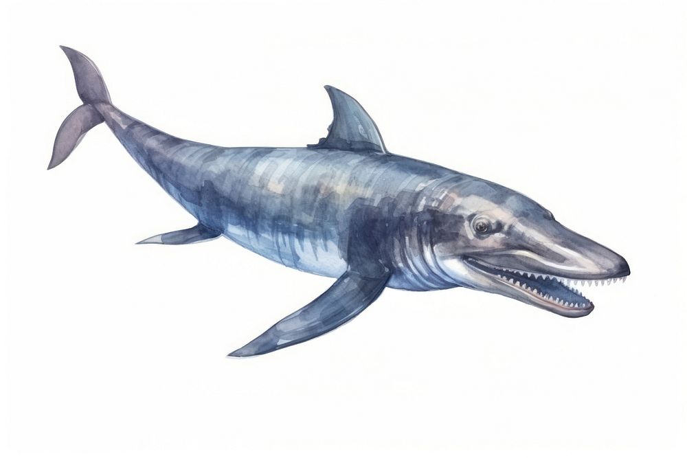 Animal mammal shark fish. AI generated Image by rawpixel.