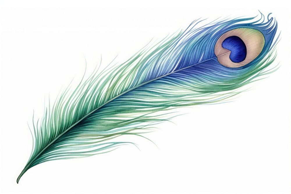 Drawing backgrounds peacock feather. AI generated Image by rawpixel.