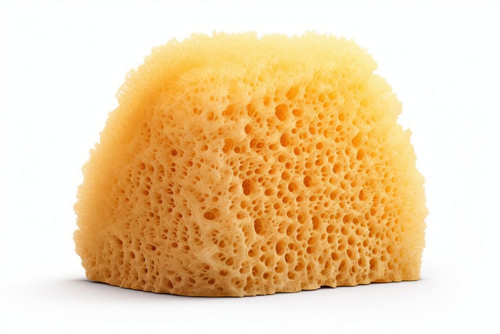 Sponge food white background cantaloupe. AI generated Image by rawpixel.
