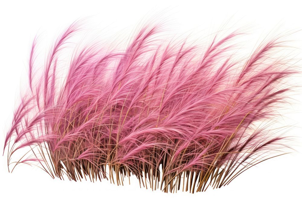 Grass flower plant vegetation. AI generated Image by rawpixel.