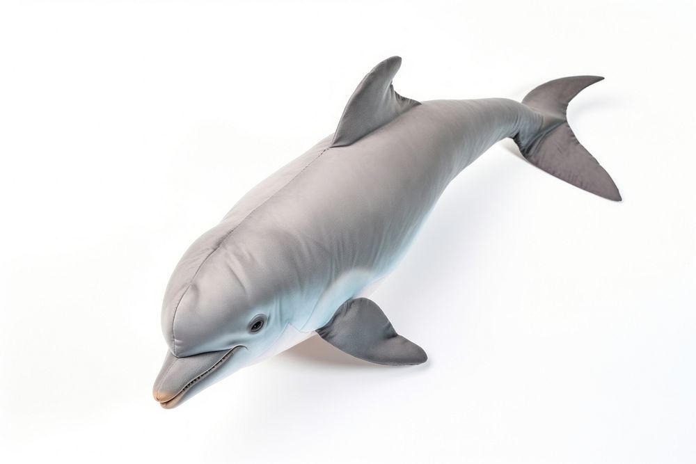 Dolphin animal mammal shark. AI generated Image by rawpixel.