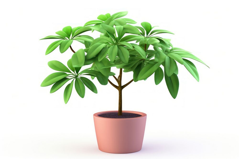 Schefflera bonsai plant leaf. AI generated Image by rawpixel.