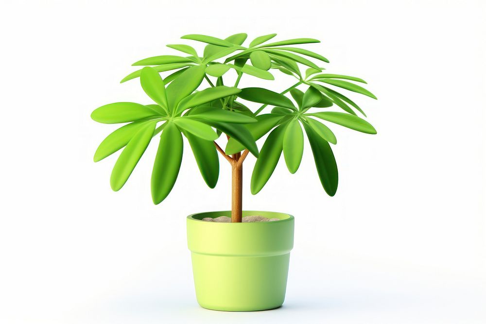 Schefflera plant leaf white background. AI generated Image by rawpixel.