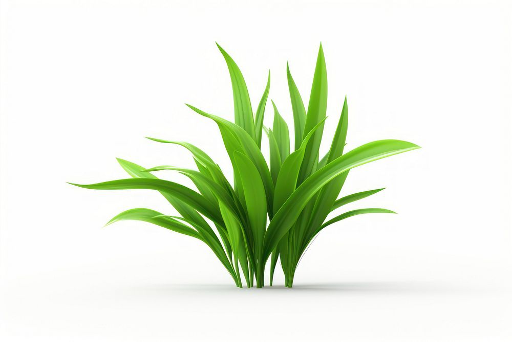 Plant grass green leaf. AI generated Image by rawpixel.