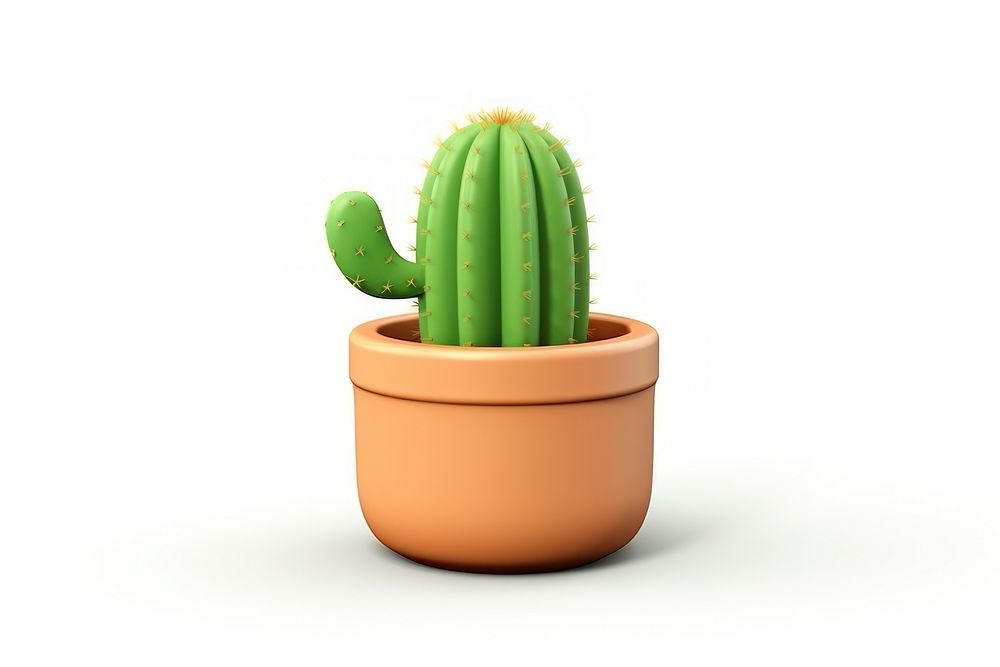 Cactus plant white background houseplant. 