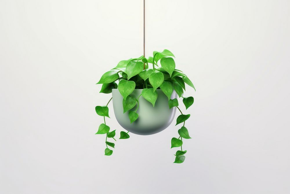 Plant hanging leaf potted plant. AI generated Image by rawpixel.