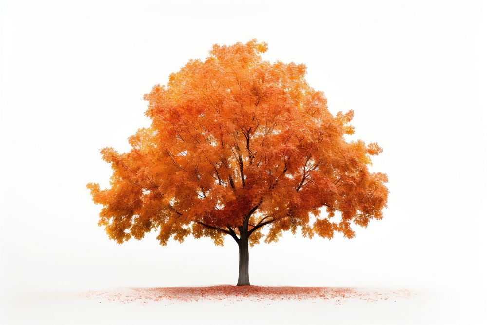 Tree plant maple tranquility. AI generated Image by rawpixel.