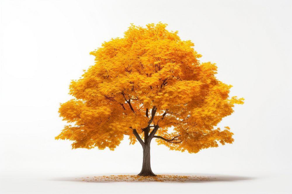Tree plant maple tranquility. AI generated Image by rawpixel.