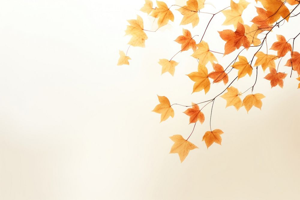 Backgrounds falling autumn plant. AI generated Image by rawpixel.