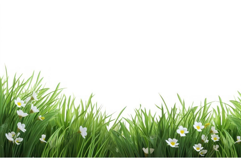 Flower grass grassland outdoors. AI generated Image by rawpixel.