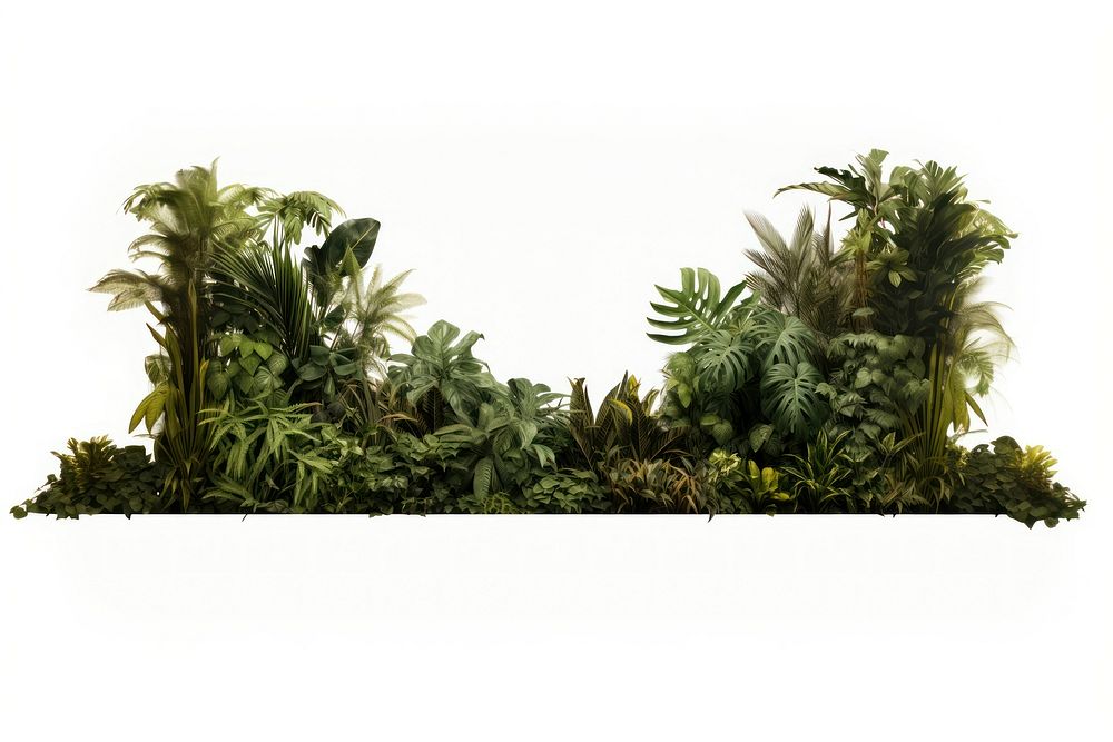 Vegetation outdoors nature forest. AI generated Image by rawpixel.