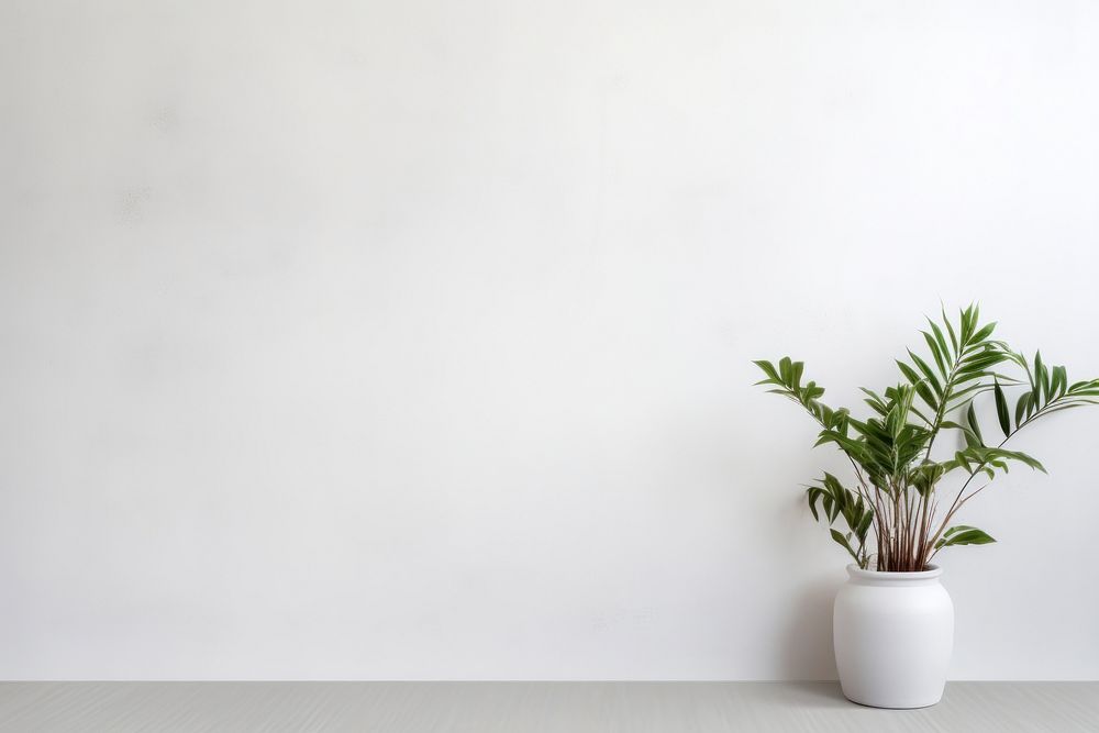 Wall windowsill plant white.