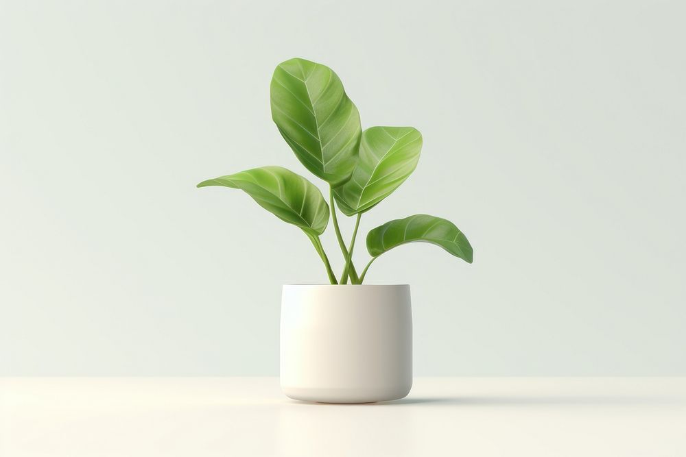 Plant leaf vase houseplant. AI generated Image by rawpixel.