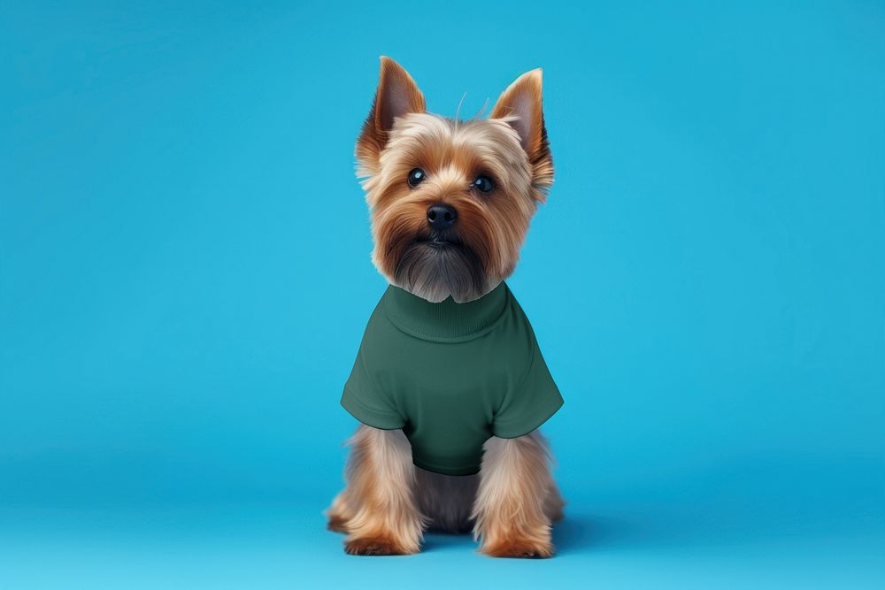 Dog wearing green t-shirt, pet fashion