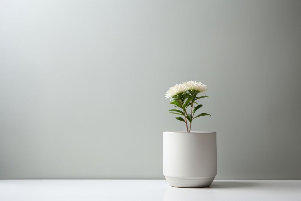 Flower ceramic plant white. AI generated Image by rawpixel.