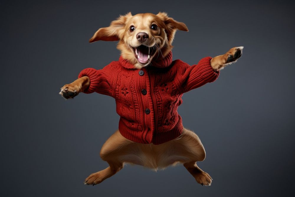 Dog sweater mammal animal. AI generated Image by rawpixel.