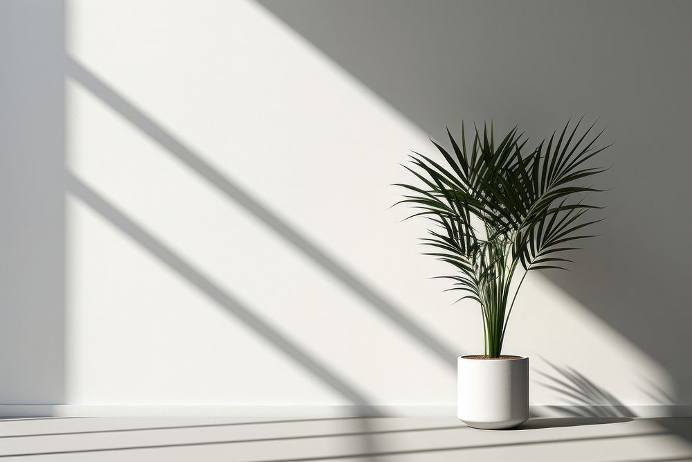 Shadow plant white architecture. AI generated Image by rawpixel.