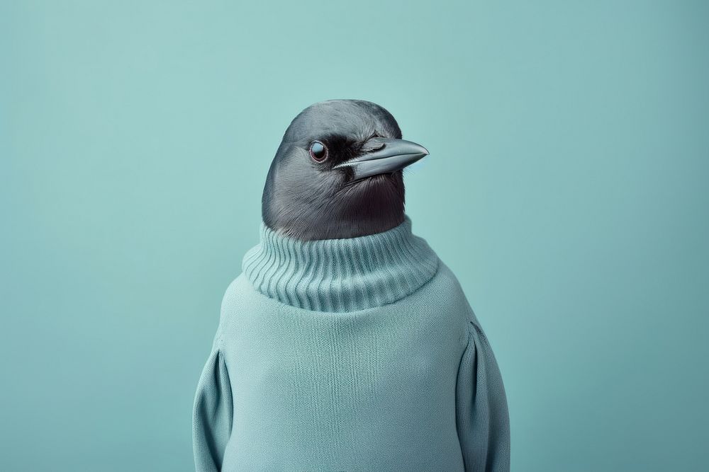 Bird animal beak wildlife. AI generated Image by rawpixel.