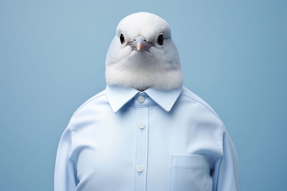 Bird seagull animal representation. AI generated Image by rawpixel.