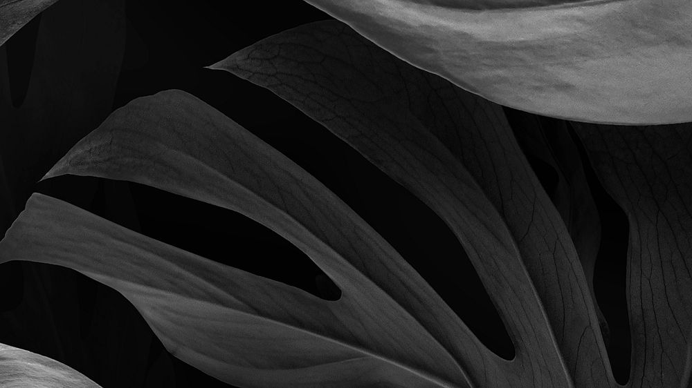 Black botanical, leaf desktop wallpaper
