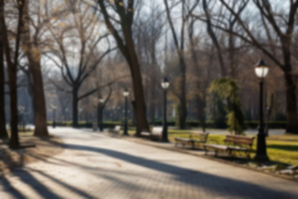 Blurred park backdrop, natural light