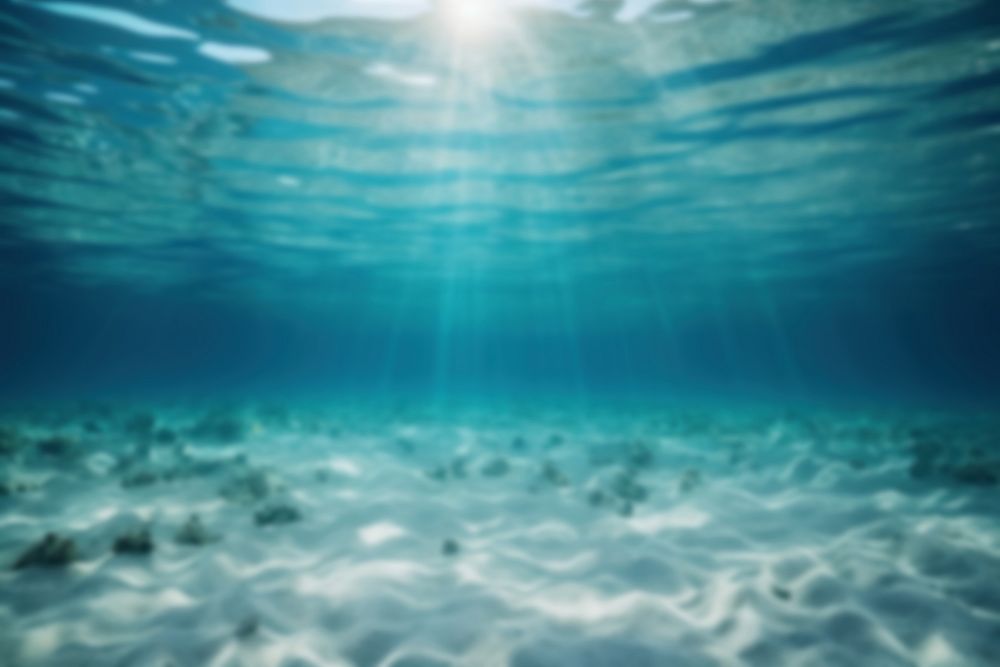 Blurred under the sea backdrop, natural light