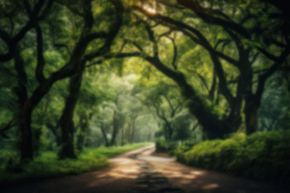 Blurred green forest backdrop, natural light