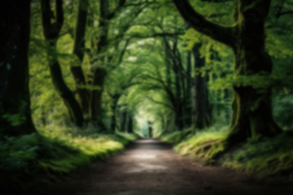 Blurred green forest backdrop, natural light