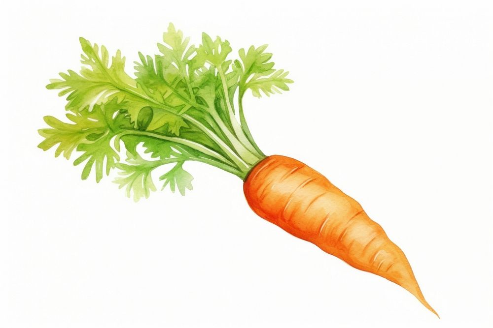 Carrot vegetable produce plant. AI generated Image by rawpixel.