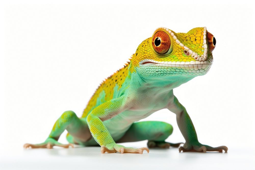 Reptile animal lizard iguana. AI generated Image by rawpixel.