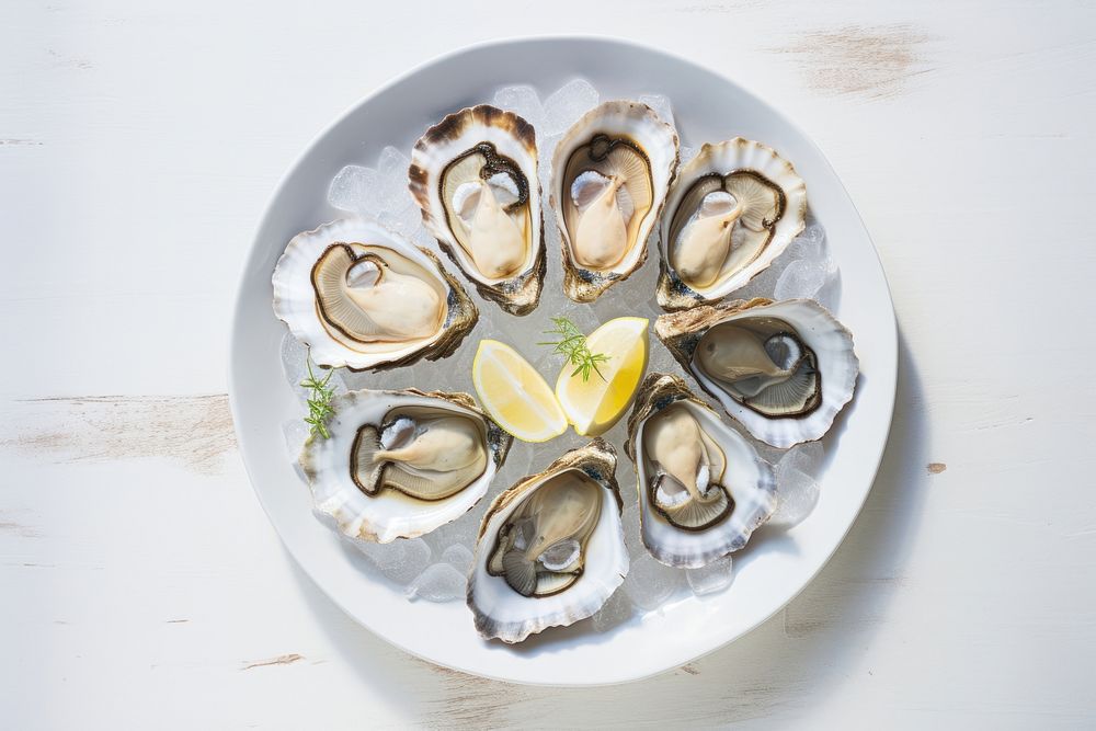 Oyster plate seafood clam. AI generated Image by rawpixel.