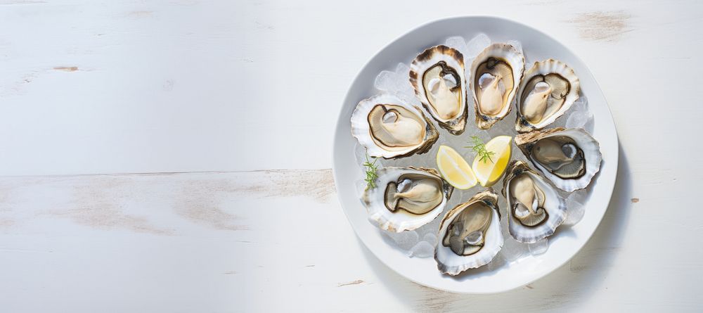 Oyster plate seafood clam. 