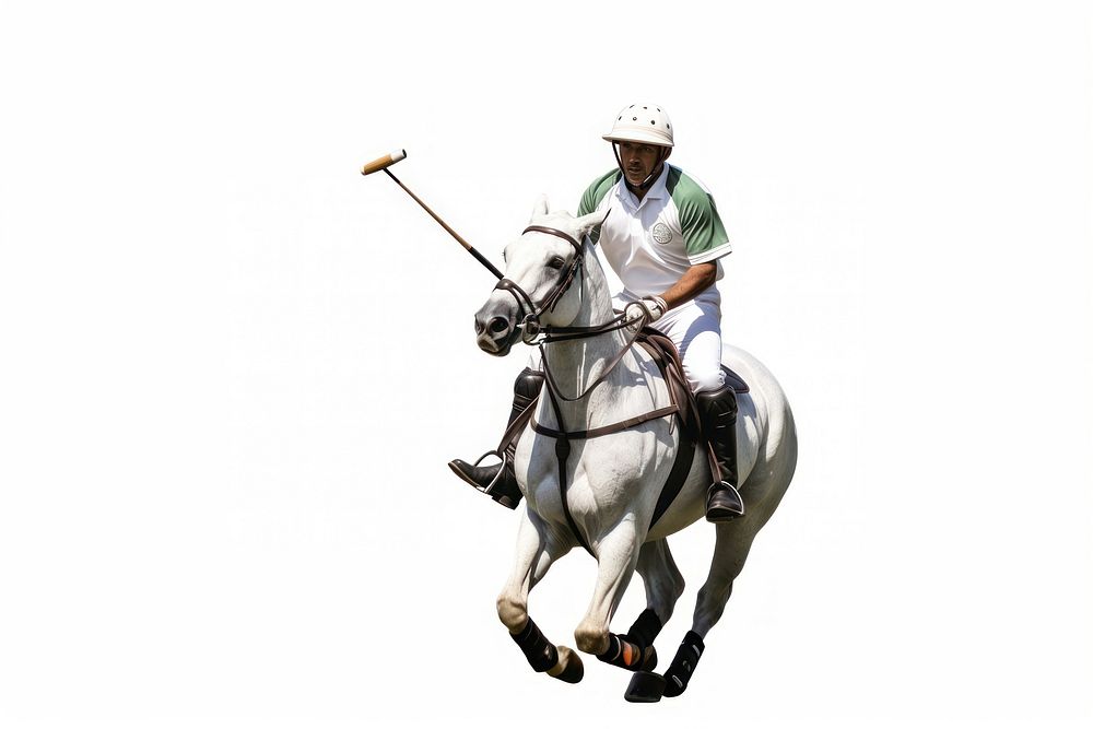 Horse polo recreation animal. AI generated Image by rawpixel.