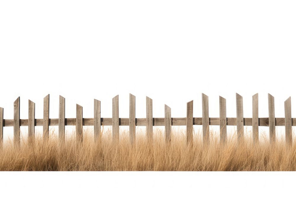 Fence outdoors nature wood. AI generated Image by rawpixel.