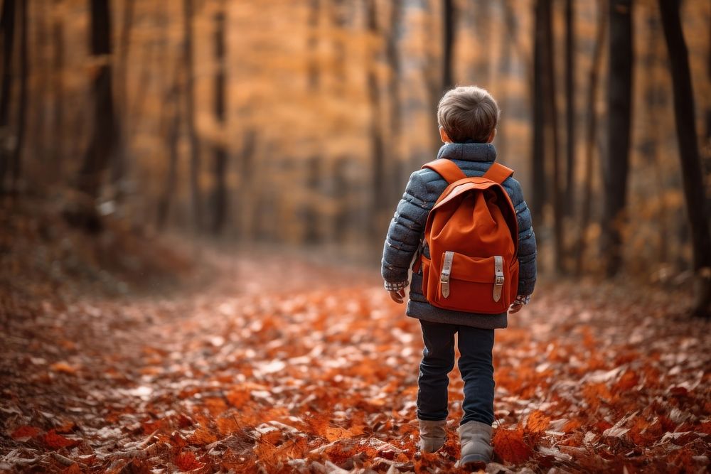 Backpack autumn walking forest. 