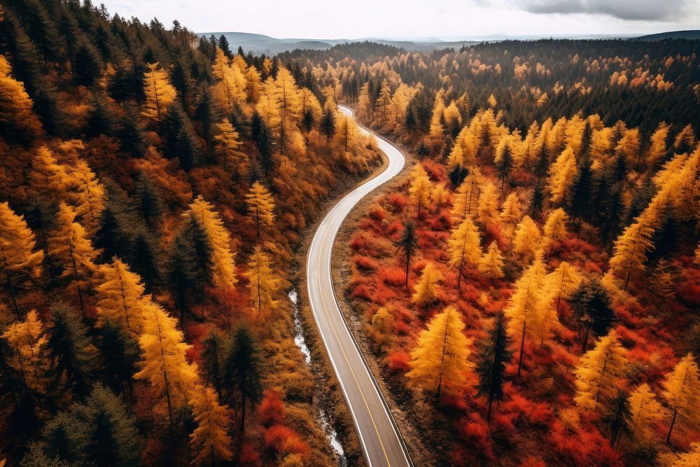 Autumn forest road outdoors. AI generated Image by rawpixel.