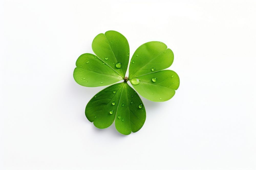 Leaf clover plant green. AI generated Image by rawpixel.