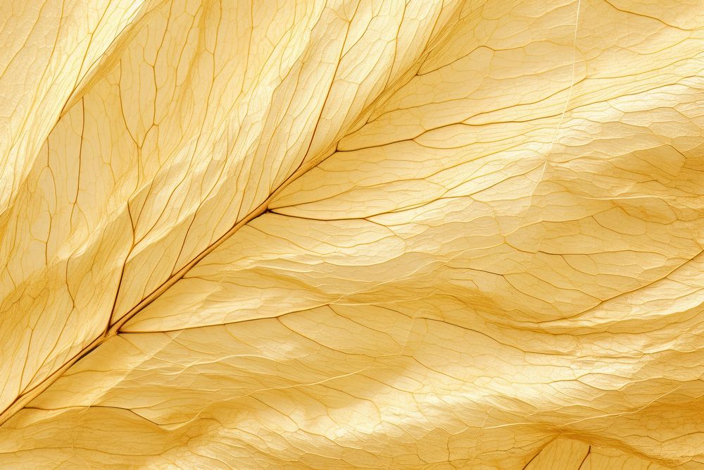 Leaf backgrounds fragility textured. AI generated Image by rawpixel.