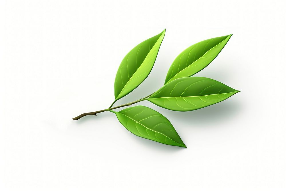Leaf plant green herbs. AI generated Image by rawpixel.