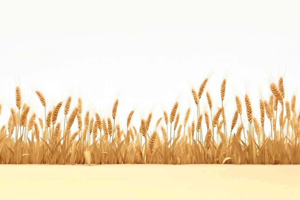 Wheat field border agriculture outdoors nature. AI generated Image by rawpixel.