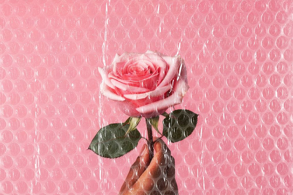 Pink rose, bubble wrap design
