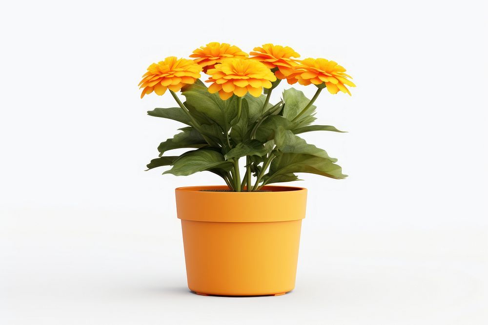 Marigold flower plant pot. AI generated Image by rawpixel.