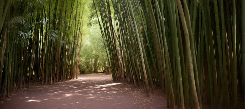 Bamboo landscape outdoors nature. AI generated Image by rawpixel.