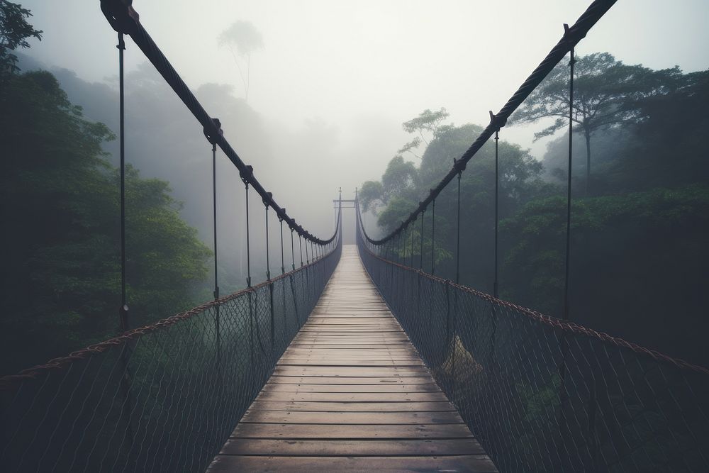 Bridge outdoors nature jungle. AI generated Image by rawpixel.