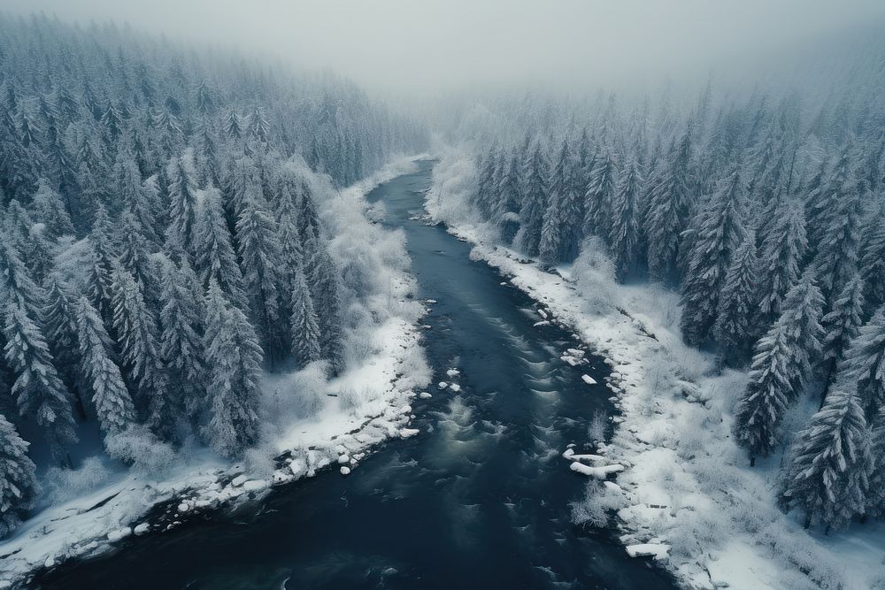 Forest river outdoors nature. AI generated Image by rawpixel.