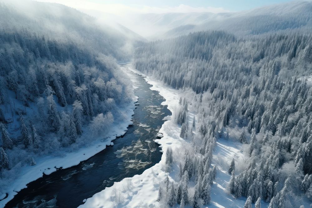 Forest river outdoors nature. AI generated Image by rawpixel.