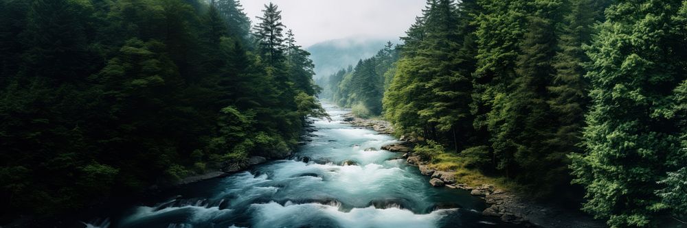 Forest river outdoors woodland. AI generated Image by rawpixel.