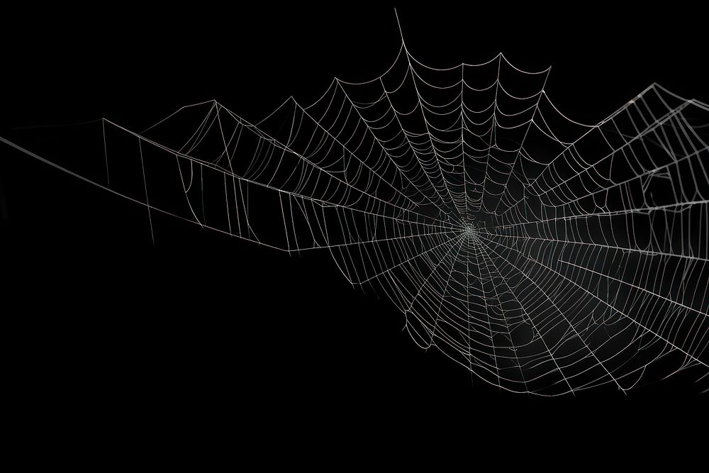 Spider web backgrounds complexity concentric. 
